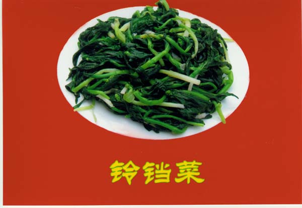 山野菜类