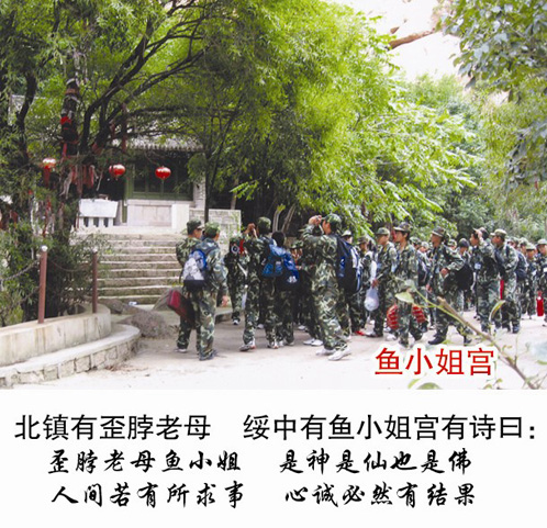 鱼小姐宫